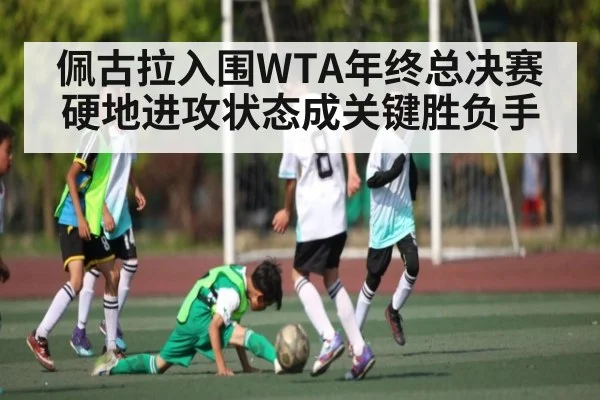 佩古拉入围WTA年终总决赛 硬地进攻状态成关键胜负手