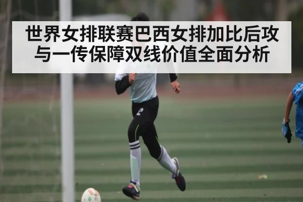 世界女排联赛巴西女排加比后攻与一传保障双线价值全面分析